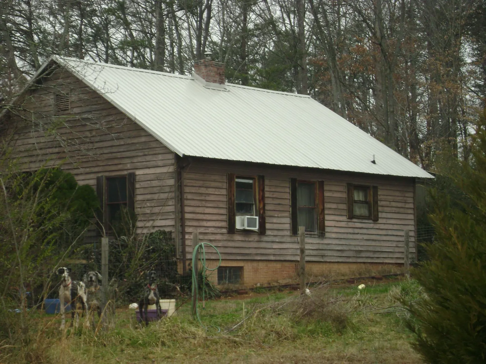 White metal roof on an old wood sided farmhouse, from a Asphalt Shingle Roof Repair job in Covington